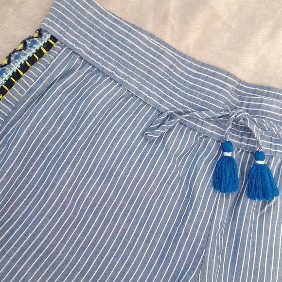 Vineyard Vines blue striped embroidered shorts, small - Picture 2 of 10